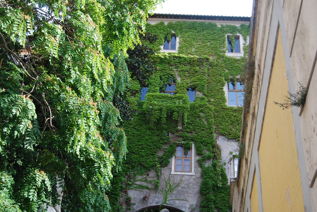 DSC_0220