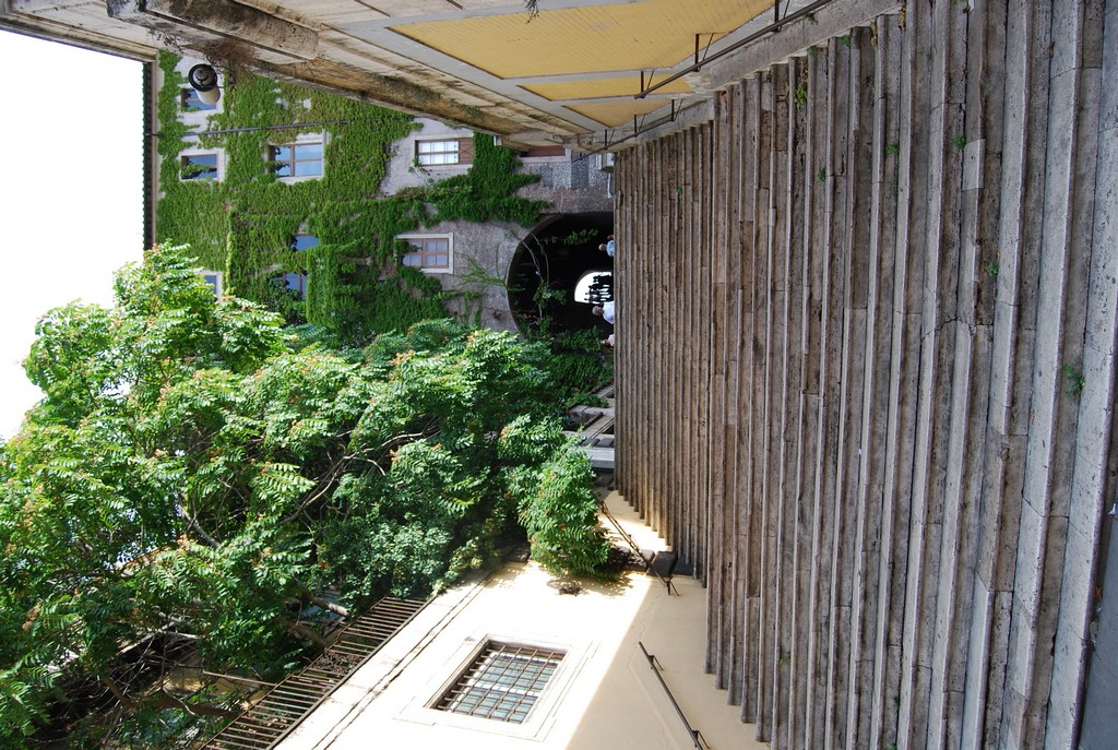 DSC_0221